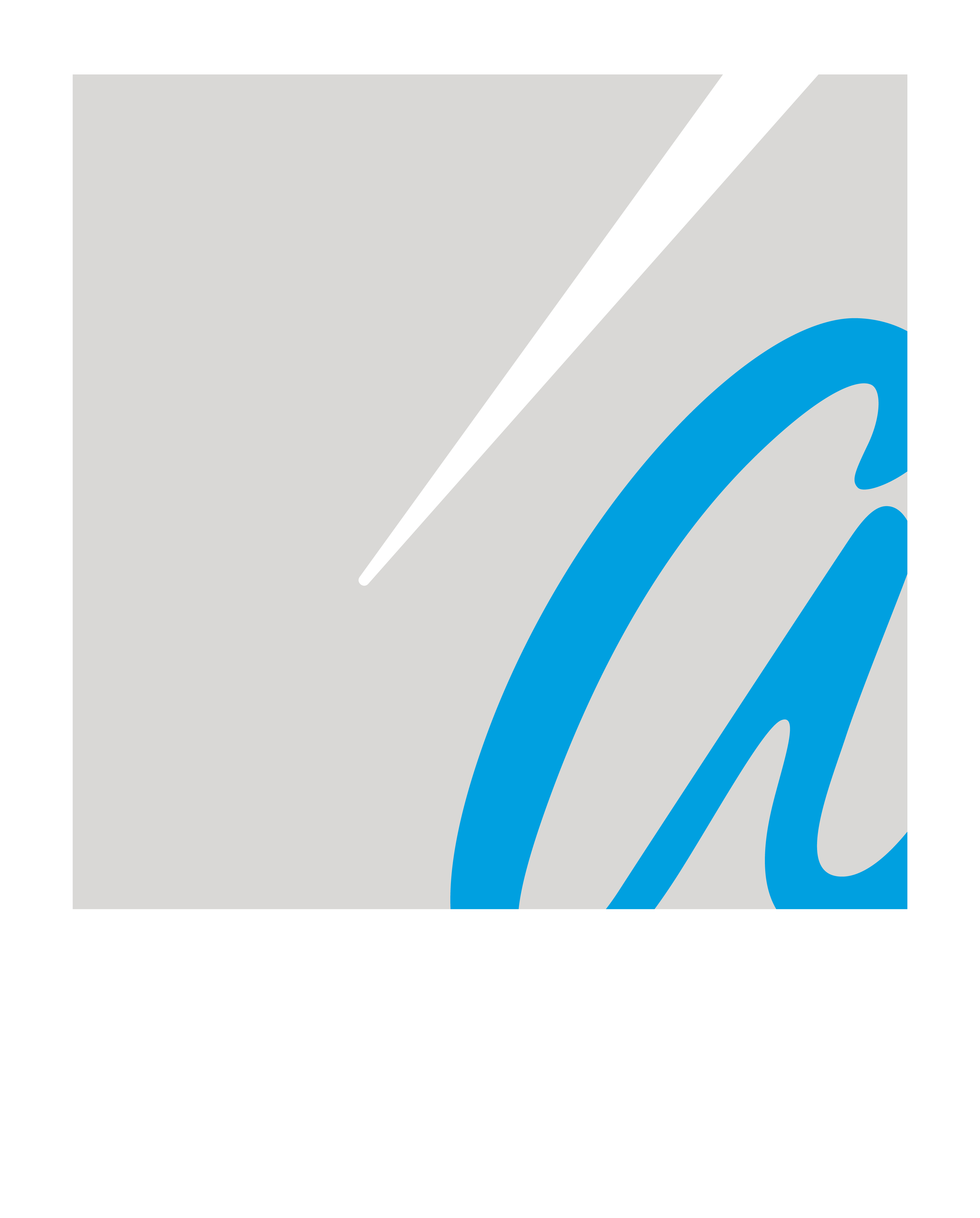 Abaris